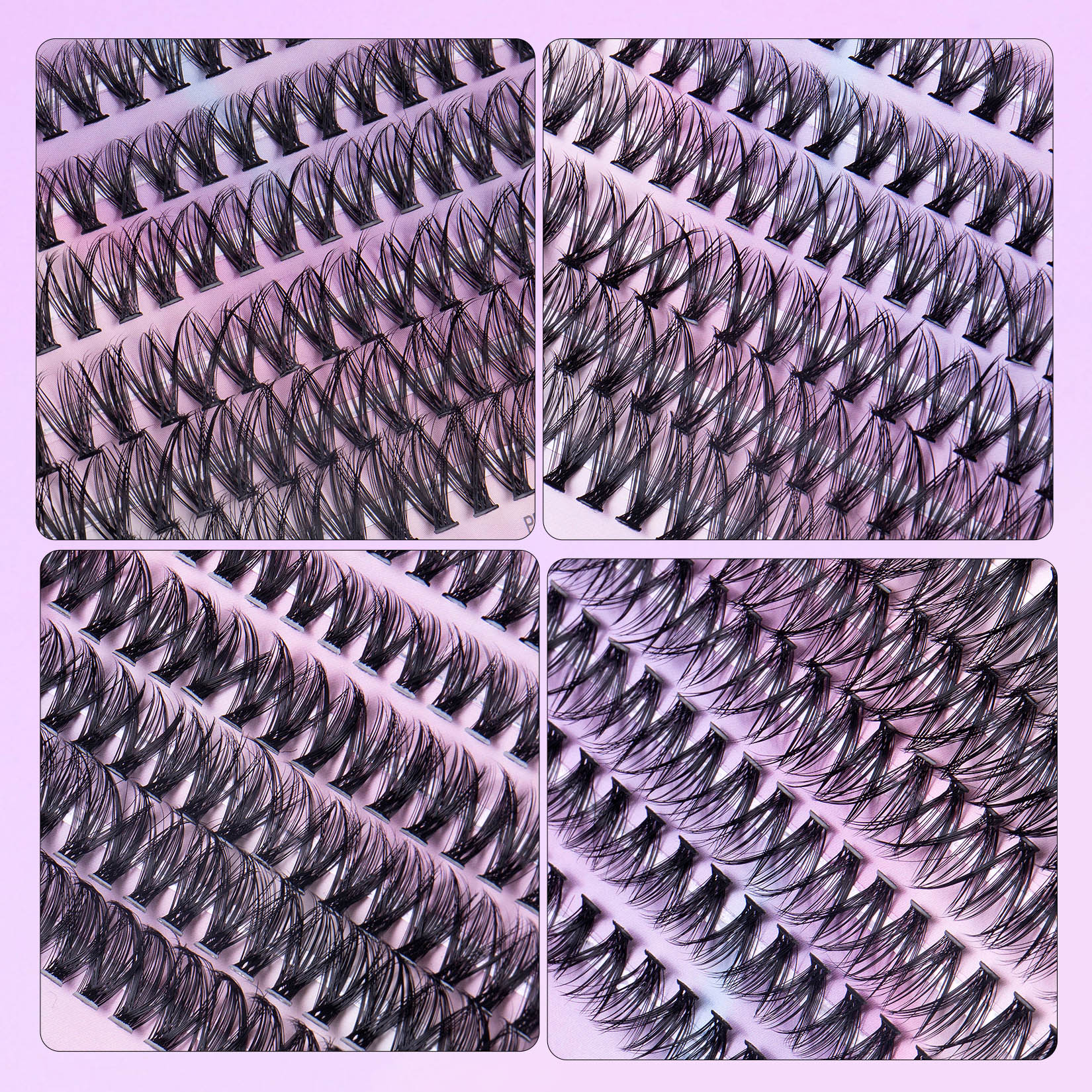 12 Rows Of 30D Plus 40D Clusters Of 240 Segmented Lashes Set